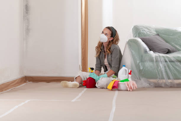 Reliable Commercial Mold Remediation contractor in Rhodelia, KY by Car Mold Remediation